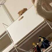 ヒメ日記 2026/02/28 18:01 投稿 ゆき 激安ドットコム