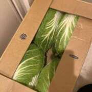 ヒメ日記 2026/03/11 14:00 投稿 ゆき 激安ドットコム