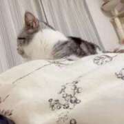 ヒメ日記 2026/05/02 07:31 投稿 ゆき 激安ドットコム