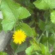 ヒメ日記 2026/03/25 23:46 投稿 あき ラブレター