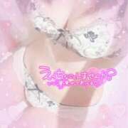 ヒメ日記 2026/03/12 09:30 投稿 杏 五反田人妻城