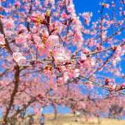 ヒメ日記 2026/03/01 23:52 投稿 かえで☆男性経験激少の甘味♡ 妹系イメージSOAP萌えフードル学園 大宮本校