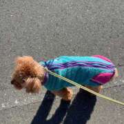 ヒメ日記 2026/03/08 16:04 投稿 かえで☆男性経験激少の甘味♡ 妹系イメージSOAP萌えフードル学園 大宮本校