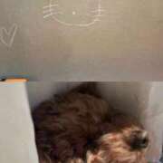 ヒメ日記 2026/03/20 22:09 投稿 かえで☆男性経験激少の甘味♡ 妹系イメージSOAP萌えフードル学園 大宮本校