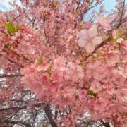 ヒメ日記 2026/03/21 21:19 投稿 かえで☆男性経験激少の甘味♡ 妹系イメージSOAP萌えフードル学園 大宮本校