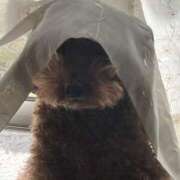 ヒメ日記 2026/03/27 18:51 投稿 かえで☆男性経験激少の甘味♡ 妹系イメージSOAP萌えフードル学園 大宮本校