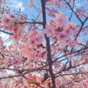 ヒメ日記 2026/03/27 21:56 投稿 かえで☆男性経験激少の甘味♡ 妹系イメージSOAP萌えフードル学園 大宮本校