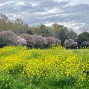 かえで☆男性経験激少の甘味♡ 🙂 妹系イメージSOAP萌えフードル学園 大宮本校