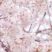 ヒメ日記 2026/03/20 11:54 投稿 りむる 熟女の風俗最終章 仙台店