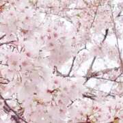 ヒメ日記 2026/04/01 23:04 投稿 りむる 熟女の風俗最終章 仙台店