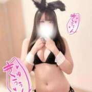 ヒメ日記 2026/04/12 02:03 投稿 ゆな ギャルズネットワーク大阪