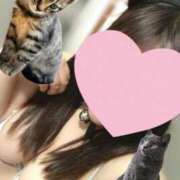 ヒメ日記 2026/02/22 14:28 投稿 なつき 白いぽっちゃりさん仙台店