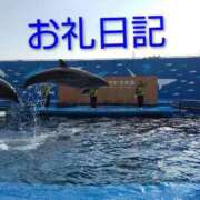 ヒメ日記 2026/02/23 18:38 投稿 なつき 白いぽっちゃりさん仙台店