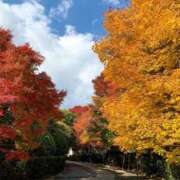 ヒメ日記 2025/11/26 16:14 投稿 とわ スピード梅田店