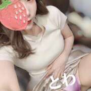 ヒメ日記 2025/11/27 15:34 投稿 とわ スピード梅田店