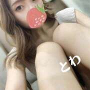 ヒメ日記 2026/01/23 11:07 投稿 とわ スピード梅田店