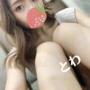 ヒメ日記 2026/03/21 09:22 投稿 とわ スピード梅田店