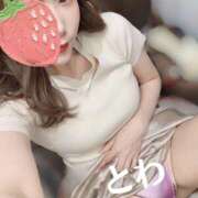 とわ とわ（スピード梅田店） スピード梅田店