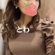 とわ とわ（スピード梅田店） スピード梅田店