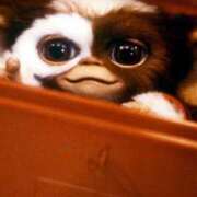 ヒメ日記 2026/03/03 13:05 投稿 かぐや 厚木人妻城