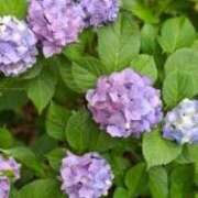ヒメ日記 2026/06/08 15:53 投稿 かぐや モアグループ厚木人妻城