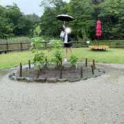 ヒメ日記 2026/07/05 12:45 投稿 ネネ ルパン