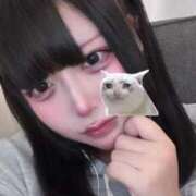 ヒメ日記 2026/03/10 12:54 投稿 皇るい デリス新宿