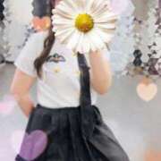 ヒメ日記 2026/05/08 20:50 投稿 ハレ VIVIDCREW十三店