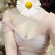 ヒメ日記 2026/05/11 09:18 投稿 ハレ VIVIDCREW十三店