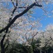 あや 出勤したよ 西川口マーメイド