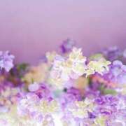 ヒメ日記 2026/02/23 09:50 投稿 木下 優里 人妻セレブ宮殿