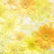 ヒメ日記 2026/03/09 13:24 投稿 木下 優里 人妻セレブ宮殿