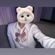 ヒメ日記 2026/02/23 17:08 投稿 けい あふたーすくーる