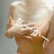 ヒメ日記 2026/02/22 20:45 投稿 ちか ぷるるん小町日本橋店