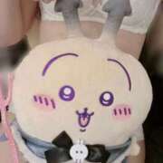 ヒメ日記 2026/03/01 08:01 投稿 さのん ZERO