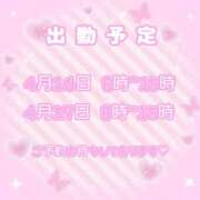 ヒメ日記 2026/04/14 12:02 投稿 さのん ZERO