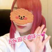 ヒメ日記 2026/04/02 12:27 投稿 神田まゆら 五反田発 痴漢電車or全裸入室