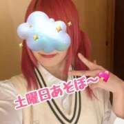 ヒメ日記 2026/04/10 12:34 投稿 神田まゆら 五反田発 痴漢電車or全裸入室