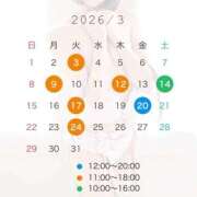 ヒメ日記 2026/02/28 18:14 投稿 Shuna THE MUSE