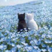 たえ 今日の日和💓 熟女家 京橋店