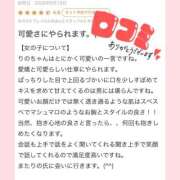 ヒメ日記 2026/06/20 17:41 投稿 りの 推しの娘
