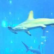 めぐ こんばんは！ ぐっすり山田　上野店