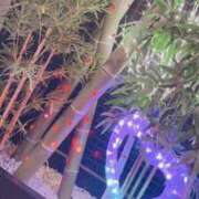 ヒメ日記 2026/03/04 01:49 投稿 そあら 五反田サンキュー