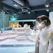 峯山めい めいです♡ ゴールドクイーン