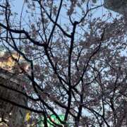 ヒメ日記 2026/03/22 23:32 投稿 まい PINK ROOM（ピンクルーム）