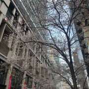 まい 出勤❣️ PINK ROOM（ピンクルーム）