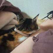 ヒメ日記 2026/03/09 20:02 投稿 なぎ☆竹 五十妻（イソップ）40代～60代　山口・防府店