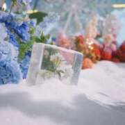 ヒメ日記 2026/02/24 22:09 投稿 あざみ オナクラ大人女子