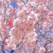 ヒメ日記 2026/03/20 11:25 投稿 もえ 錦糸町人妻セレブリティ（ユメオト）