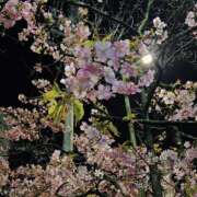 ヒメ日記 2026/03/20 22:25 投稿 もえ 錦糸町人妻セレブリティ（ユメオト）